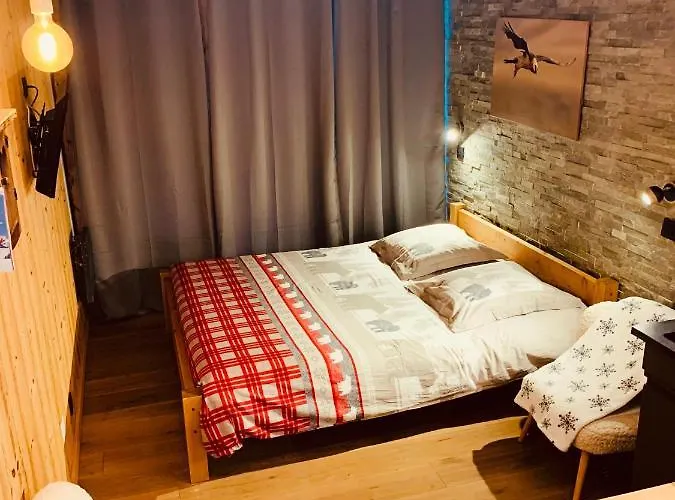 Le Gypaete * Chamonix