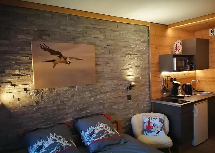 Le Gypaète Chamonix